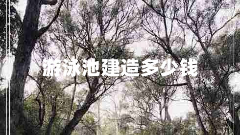 游泳池建造多少錢