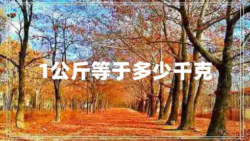 1公斤等于多少千克