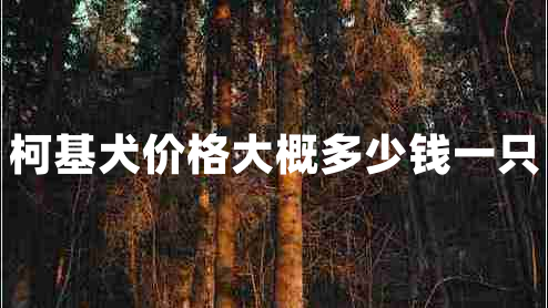 柯基犬價(jià)格大概多少錢一只