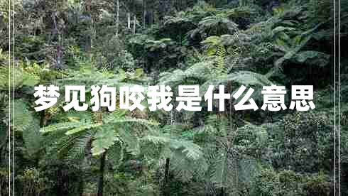 夢(mèng)見(jiàn)狗咬我是什么意思 夢(mèng)見(jiàn)狗咬我是什么意思