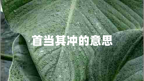 首當(dāng)其沖的意思