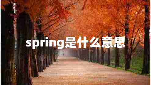 spring是什么意思 spring是什么意思