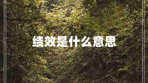 績效是什么意思