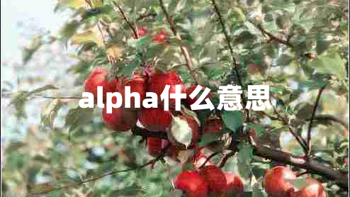 alpha什么意思 alpha什么意思