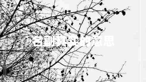 名副其實的意思