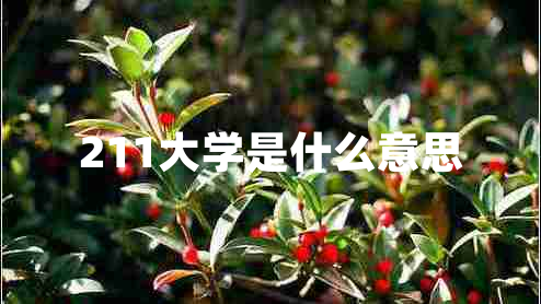 211大學(xué)是什么意思 211大學(xué)是什么意思