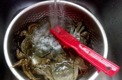 清蒸螃蟹的做法和步驟