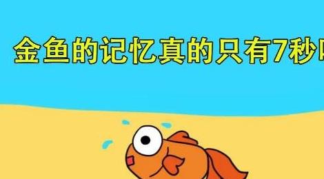 魚的記憶真的只有7秒嗎