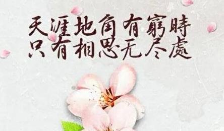 用古詩暗示我想你了的句子 用古詩暗示我想你了的句子