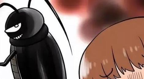 蟑螂會(huì)靠近熟睡的人嗎 蟑螂會(huì)靠近熟睡的人嗎