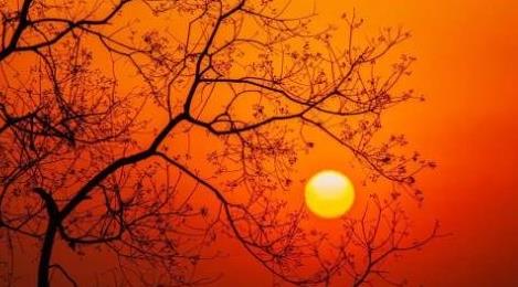 桑榆之年是多少歲 桑榆之年是多少歲