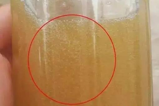 蜂蜜真假鑒定方法 蜂蜜真假鑒定方法