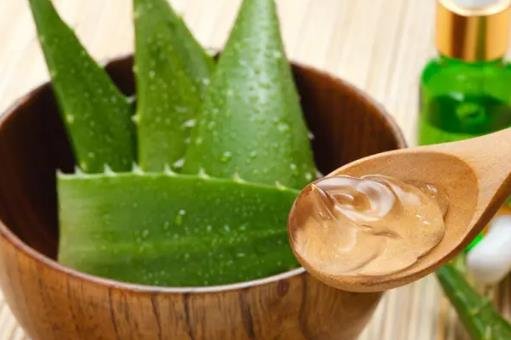 蘆薈可以直接涂在臉上嗎 蘆薈可以直接涂在臉上嗎