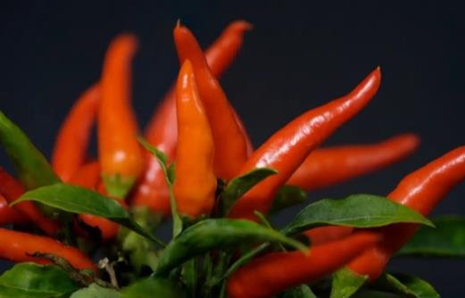 九個(gè)最準(zhǔn)懷男孩胎夢(mèng) 九個(gè)最準(zhǔn)懷男孩胎夢(mèng)