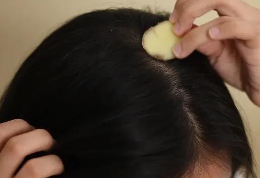 生姜擦頭皮真的能生發(fā)嗎 生姜擦頭皮真的能生發(fā)嗎