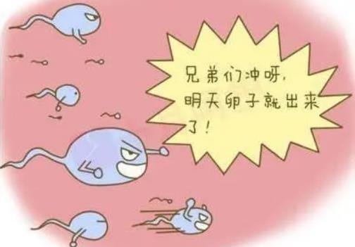 B超單有這個(gè)一般是女孩 B超單有這個(gè)一般是女孩