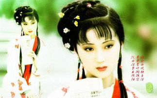 林黛玉經(jīng)典故事