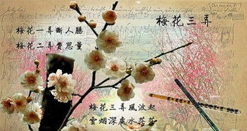 典故,梅花
