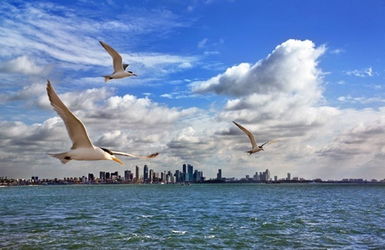 海闊天空的典故