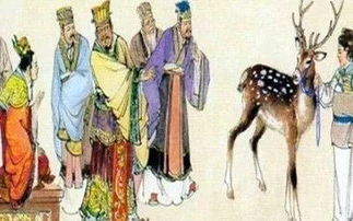 秦朝的典故,秦朝故事典故,秦朝的典故成語