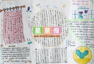 典故,手抄報(bào),文學(xué)