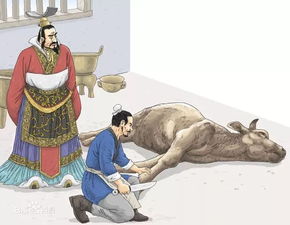 庖丁解牛的典故出自,庖丁解牛的典故和意思,庖丁解牛的典故簡(jiǎn)短