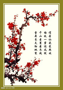 與梅花有關(guān)的典故
