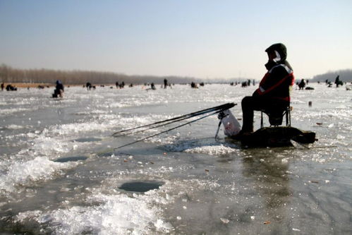 鑿冰釣魚典故