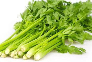 芹菜的典故,送芹菜的典故,獻(xiàn)芹菜的人的典故