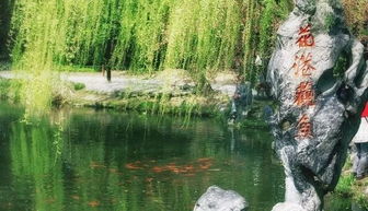 含魚(yú)的典故