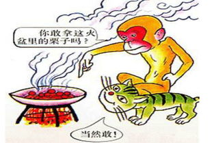 與火有關(guān)的典故,帶金字的典故,中國(guó)帶六的典故