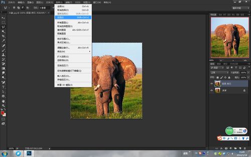 電腦怎么ps圖片(電腦怎么ps圖片上的文字)
