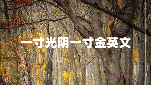 一寸光陰一寸金英文