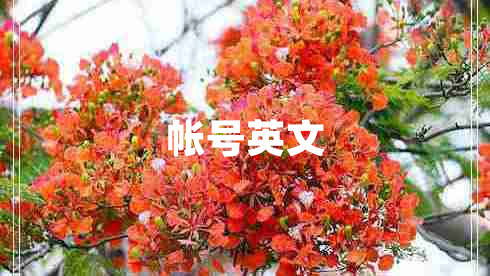 帳號英文