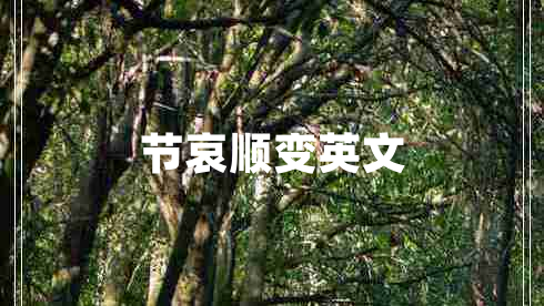 節(jié)哀順變英文