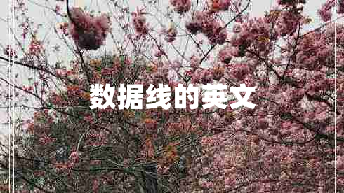 數(shù)據(jù)線的英文