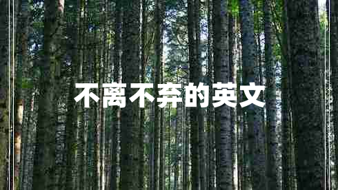 不離不棄的英文