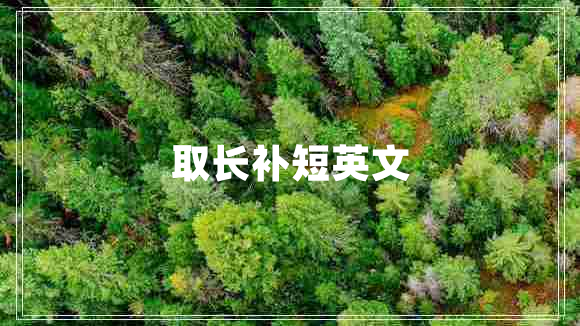 取長補(bǔ)短英文