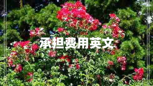 承擔(dān)費用英文