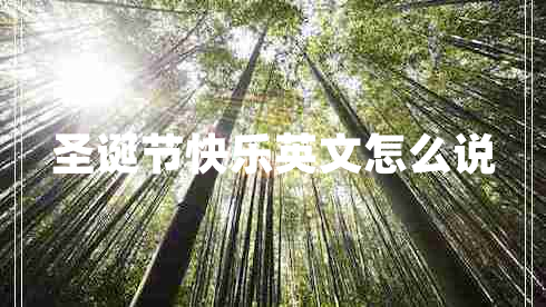 圣誕節(jié)快樂(lè)英文怎么說(shuō)