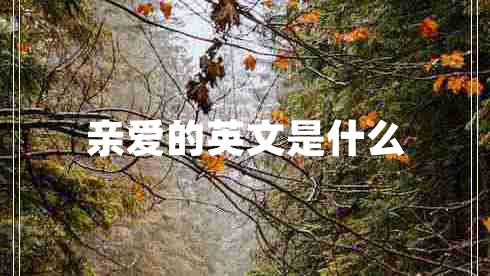 親愛的英文是什么
