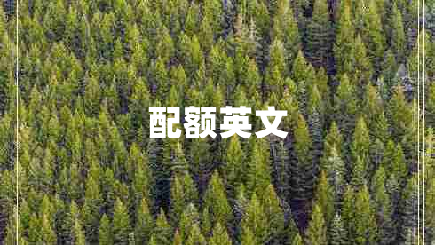 配額英文 配額英文