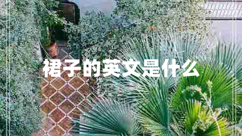 裙子的英文是什么 裙子的英文是什么