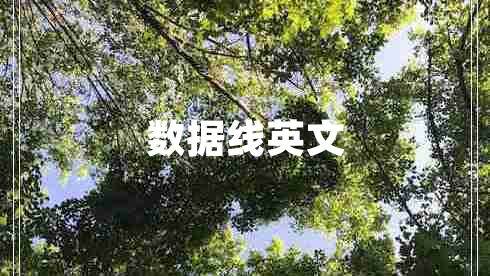 數(shù)據(jù)線英文 數(shù)據(jù)線英文