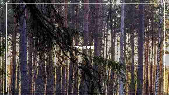 下一步英文