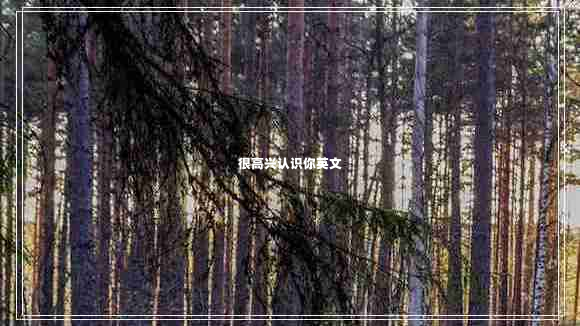 很高興認識你英文