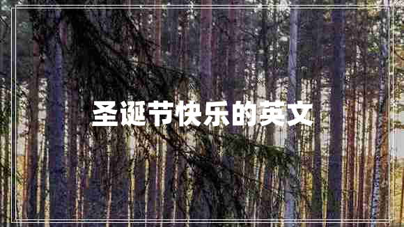 圣誕節(jié)快樂的英文