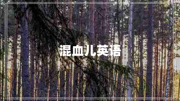 混血兒英語(yǔ)