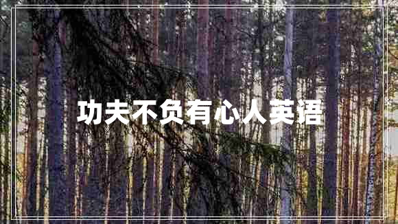 功夫不負有心人英語