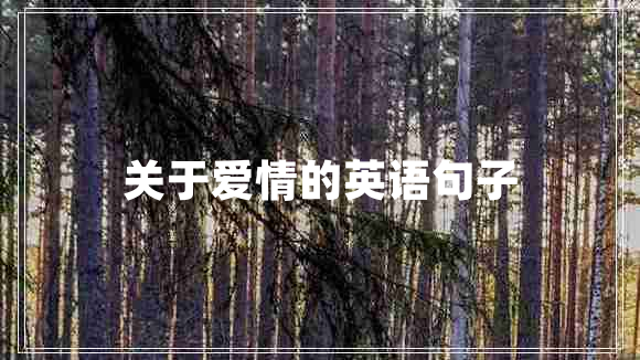 關(guān)于愛(ài)情的英語(yǔ)句子